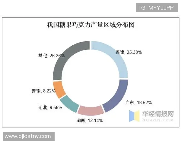 独家解读：上海网球队近期状态对比与未来发展趋势分析