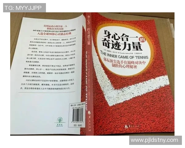 上海网球队的节奏解析与网球热点的深度探讨