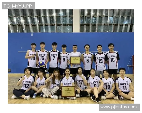 上海排球队团队协作的创新变革与热议分析