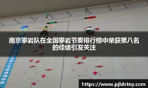 星空xingkong